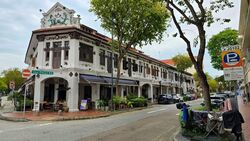 Joo Chiat Mansions (D15), Shop House #595219601